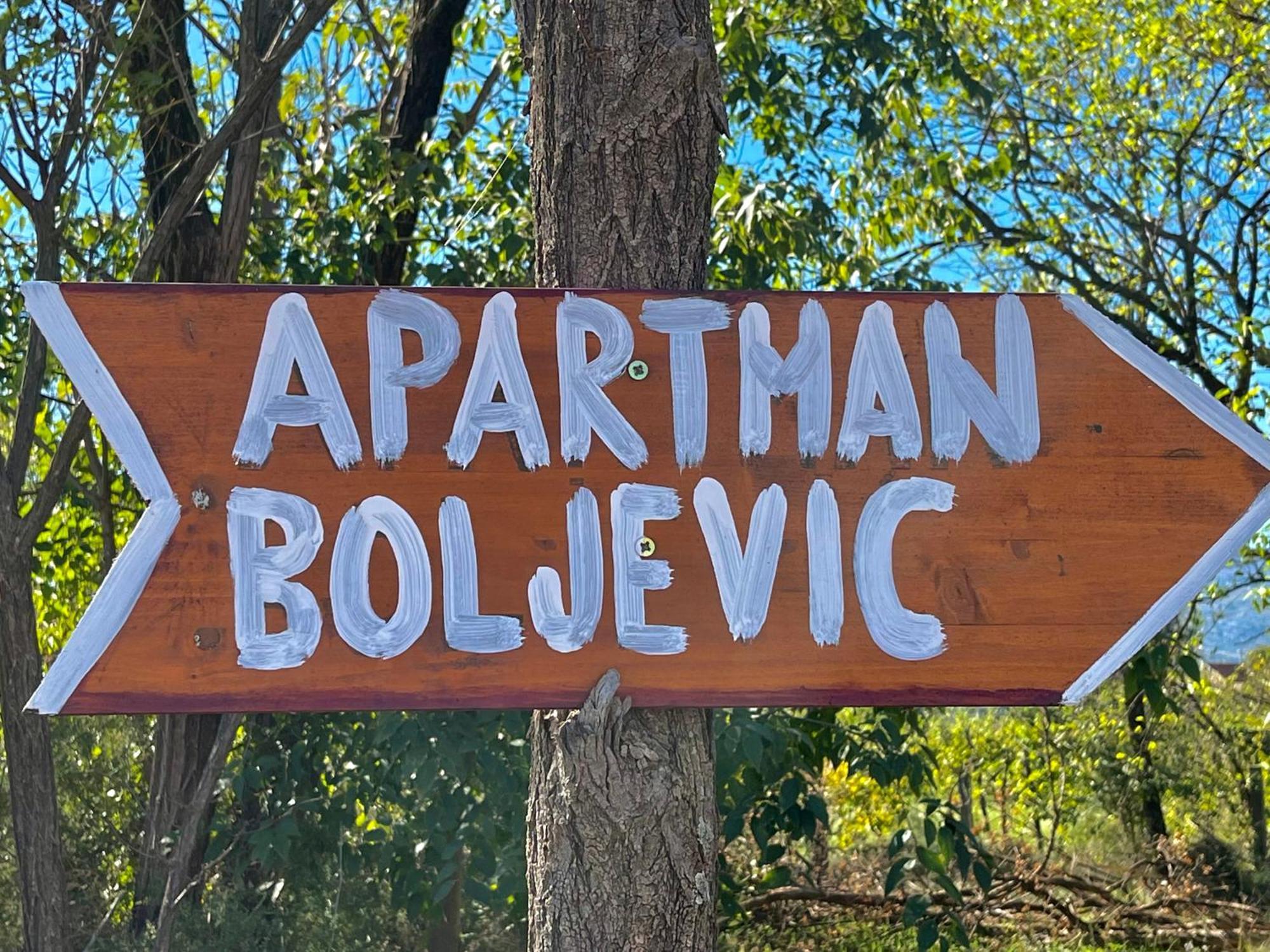 Apartman Boljevic Podgorica Eksteriør bilde